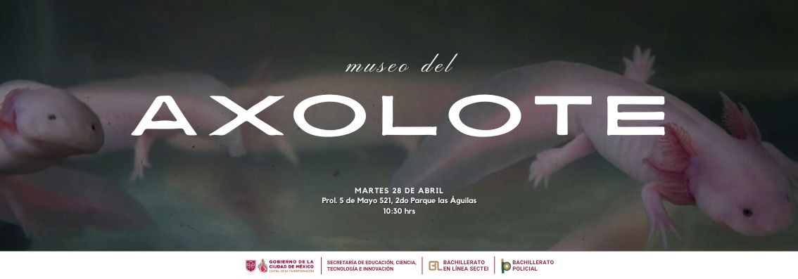 Museos Casa de Carranza 2026