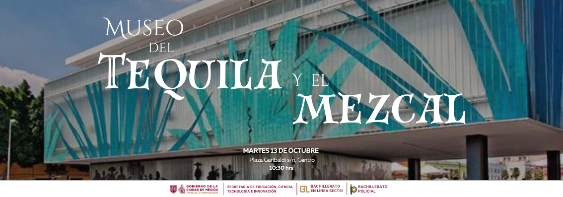 Museos 2026